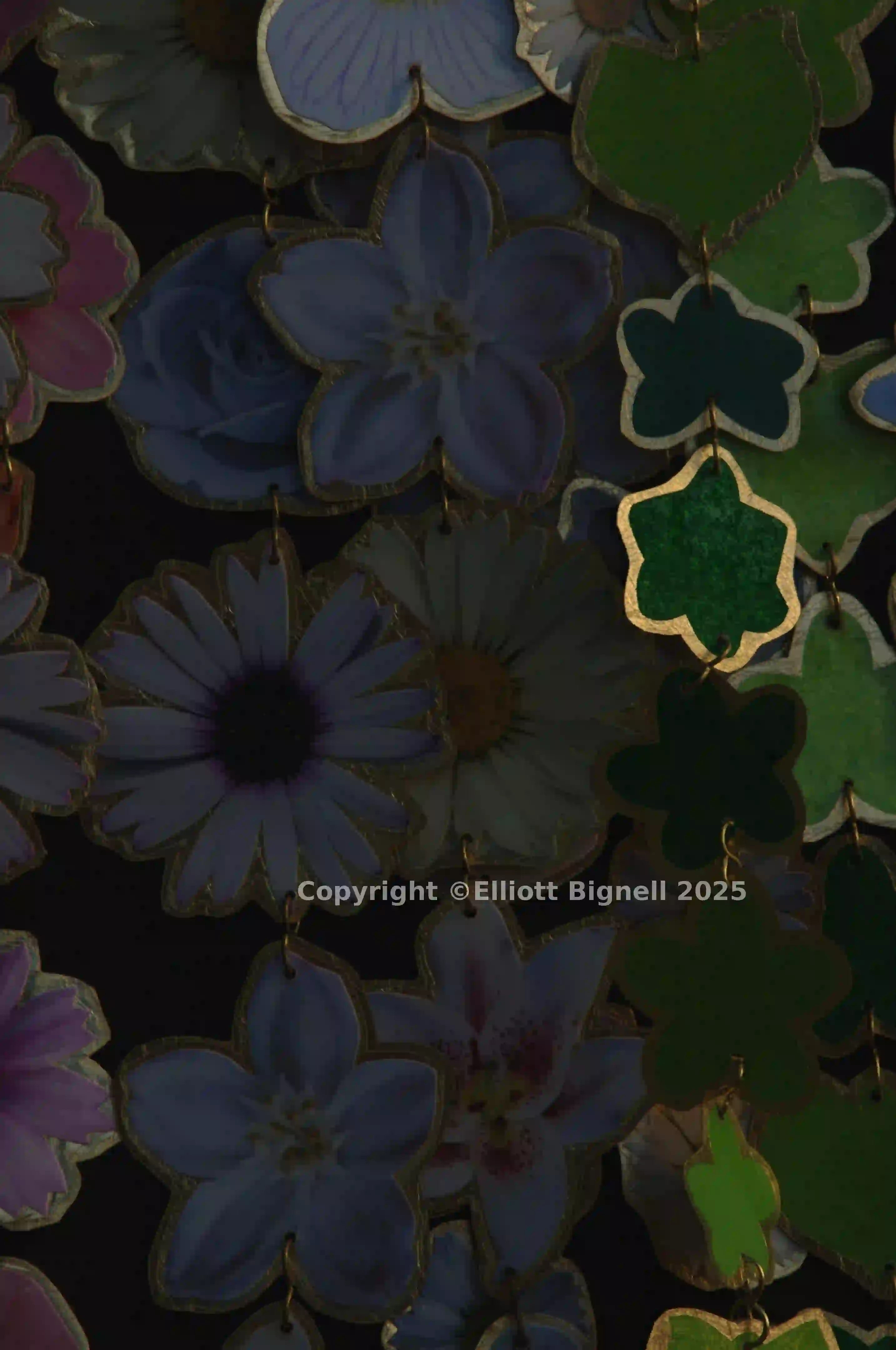 2013-11-10-20.49.41 ZS PMax.jpg